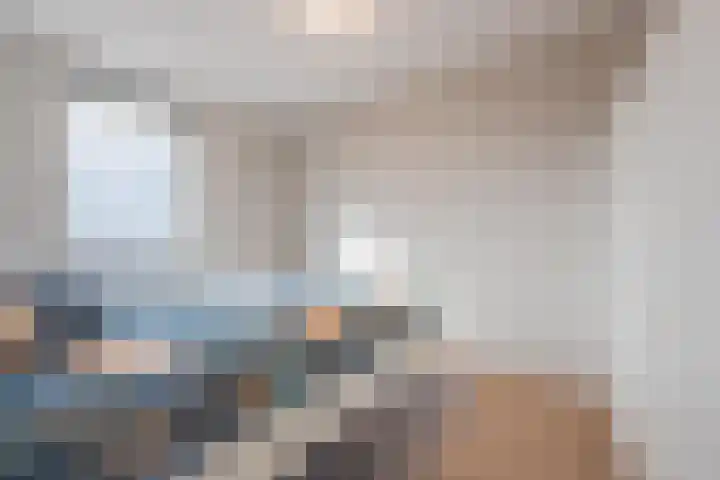 Meeslaan 2 28 Tiel thumbnail 31