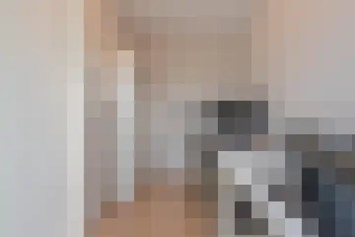 Meeslaan 2 28 Tiel thumbnail 33