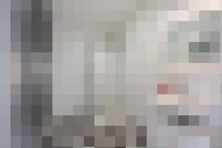 Meeslaan 2 28 Tiel thumbnail 35