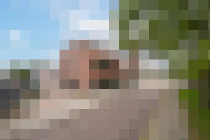 Meeslaan 2 28 Tiel thumbnail 38