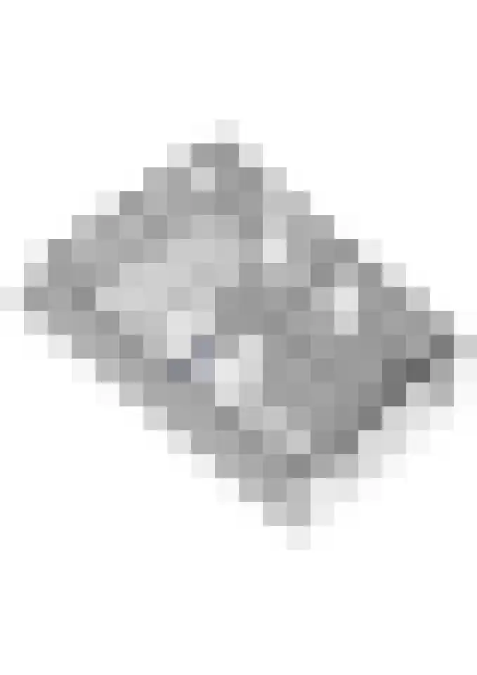 Meeslaan 2 28 Tiel thumbnail 40