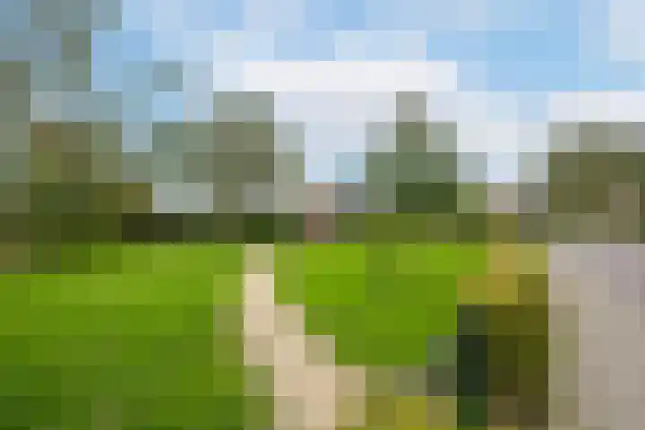 Meeslaan 2 28 Tiel thumbnail 5
