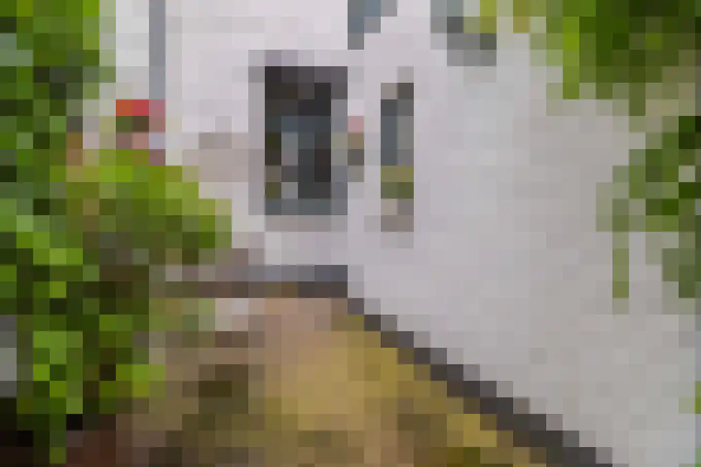 Meesstraat 7 Kerkrade thumbnail 10