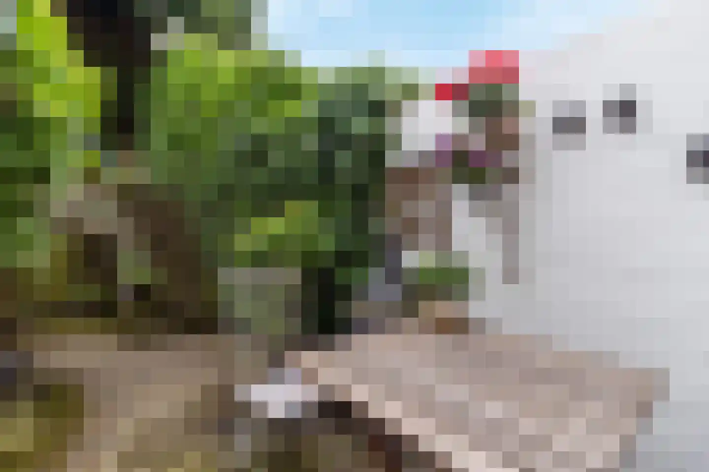 Meesstraat 7 Kerkrade thumbnail 11