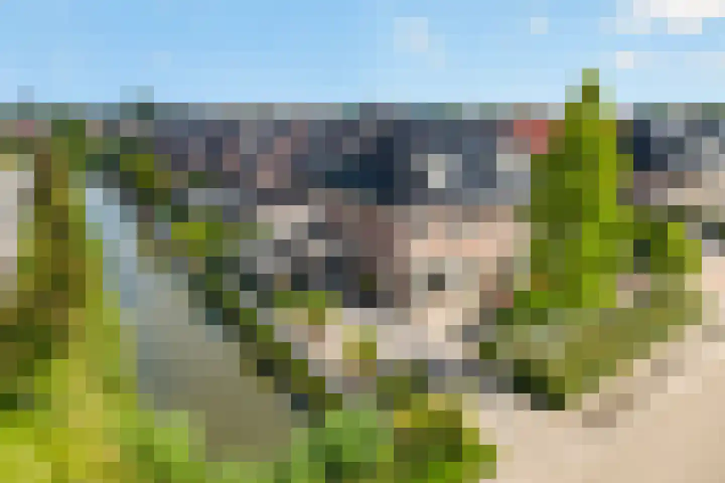 Meester A Datemalaan 1 Kesteren thumbnail 29