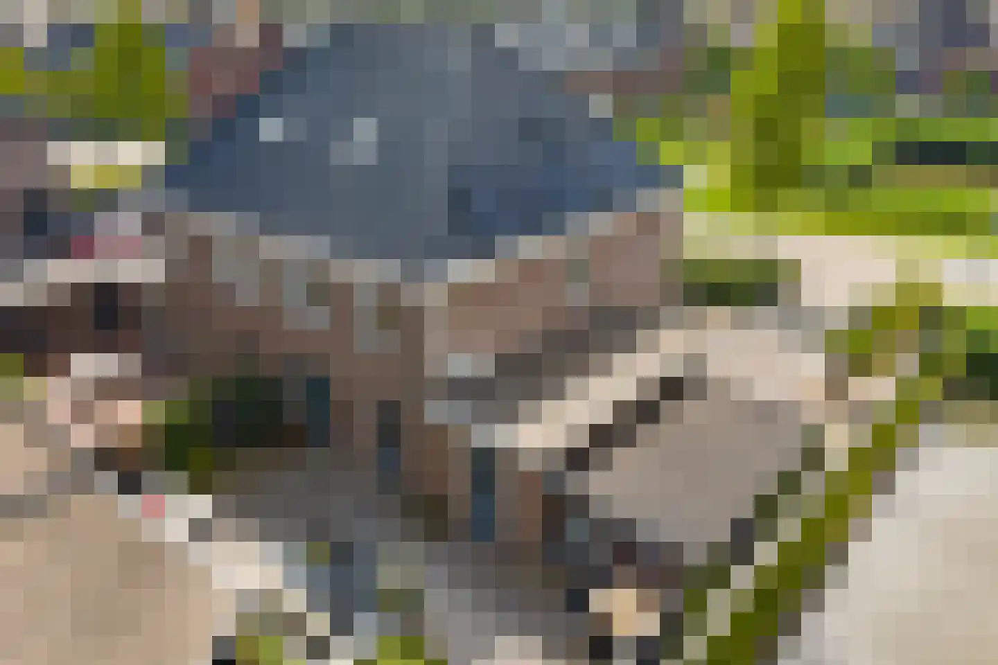 Meester A Datemalaan 1 Kesteren thumbnail 30