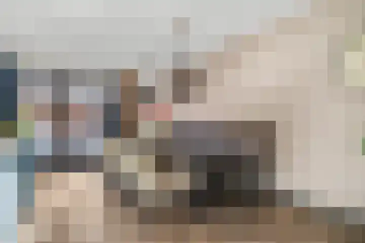 Meester A Datemalaan 12 Kesteren thumbnail 13