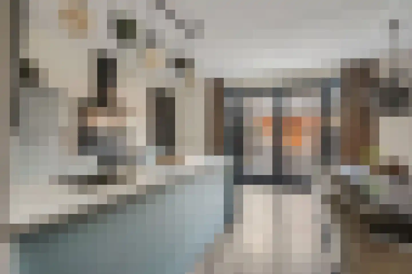 Meester A Datemalaan 12 Kesteren thumbnail 15