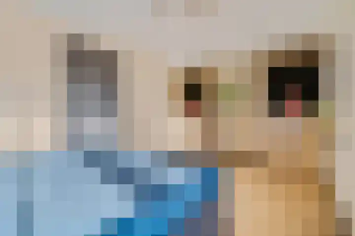 Meester A Datemalaan 12 Kesteren thumbnail 29