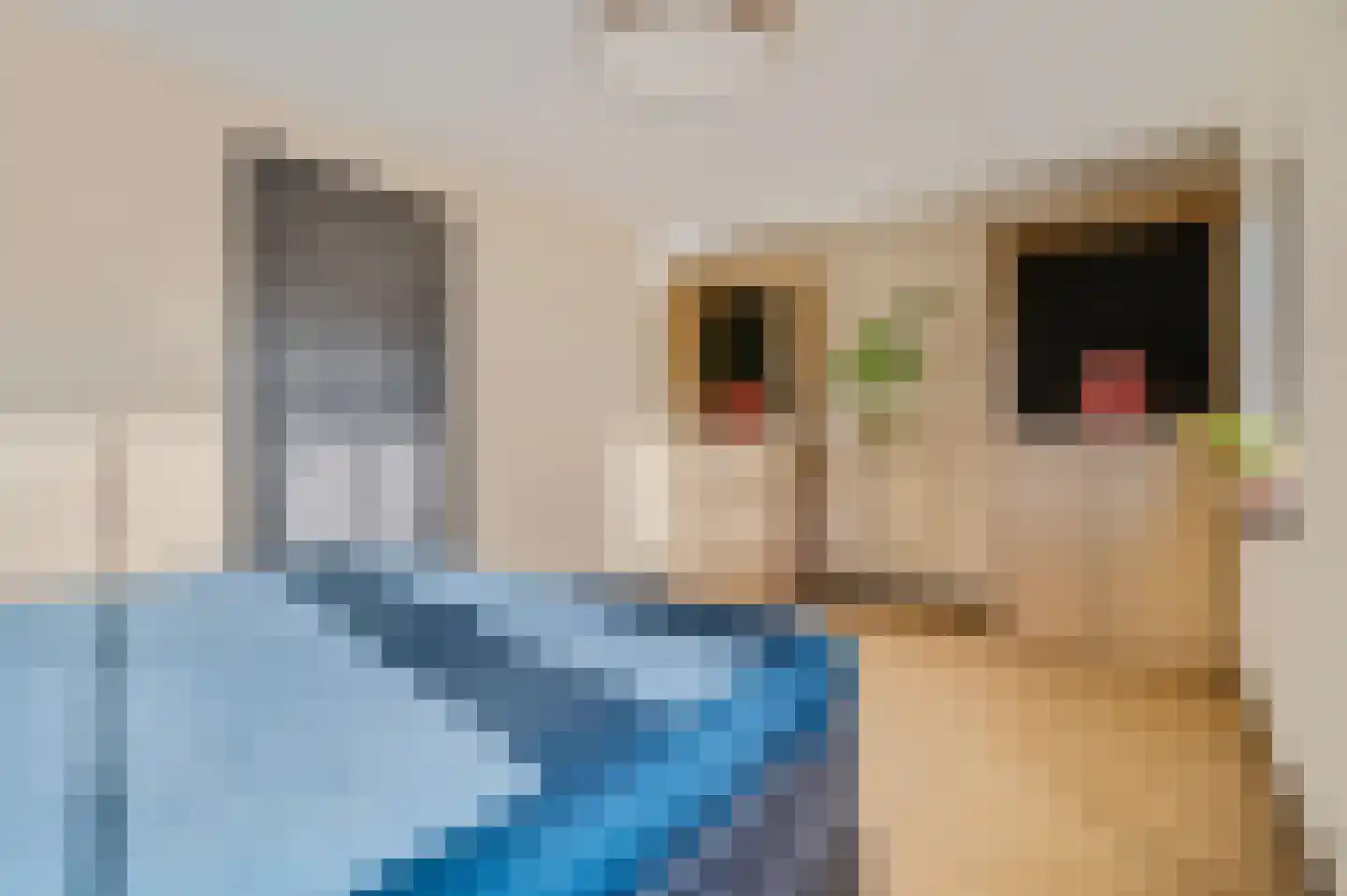 Meester A Datemalaan 12 Kesteren thumbnail 33