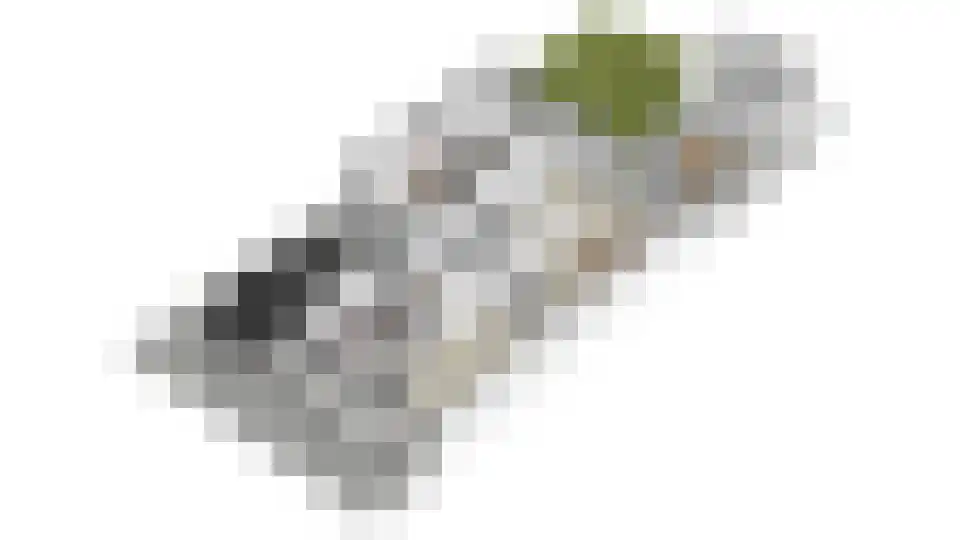 Meester A Datemalaan 12 Kesteren thumbnail 63
