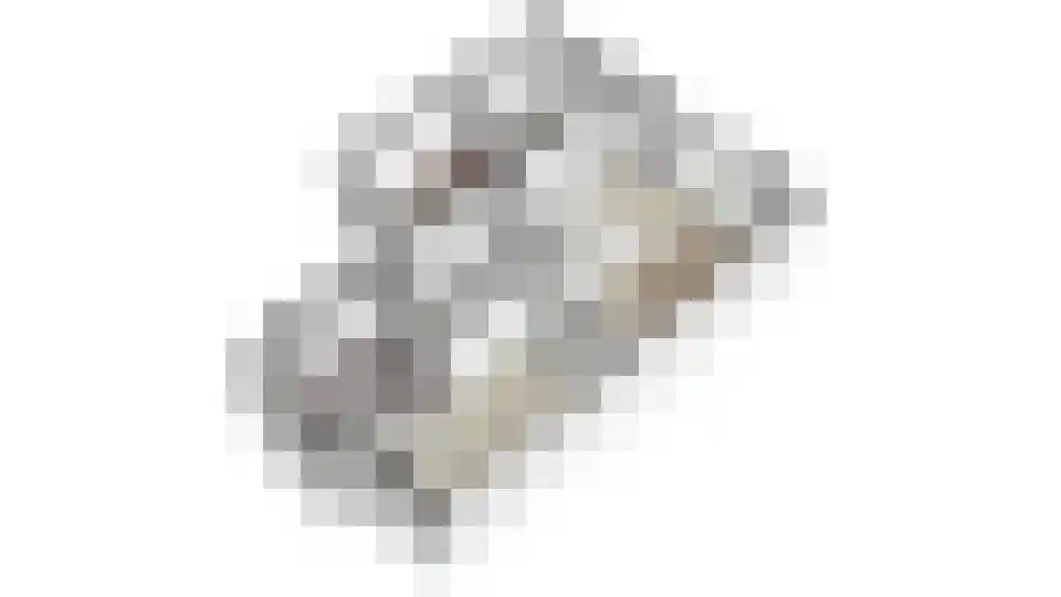 Meester A Datemalaan 12 Kesteren thumbnail 64