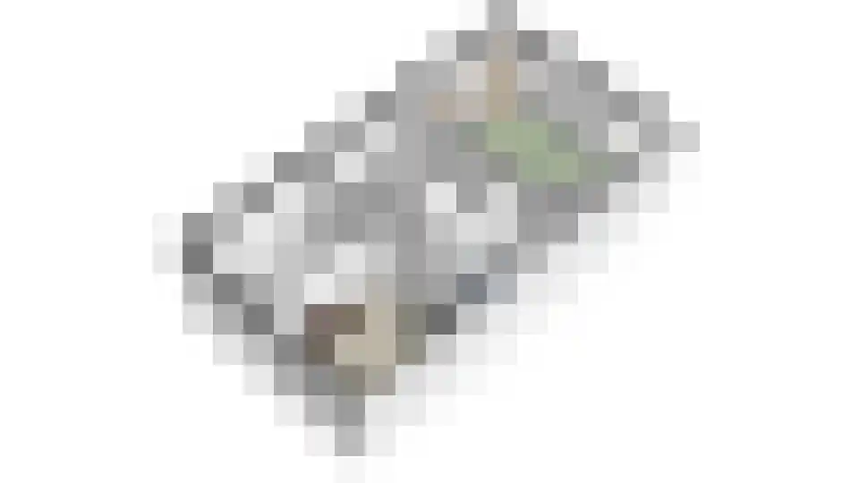 Meester A Datemalaan 12 Kesteren thumbnail 65