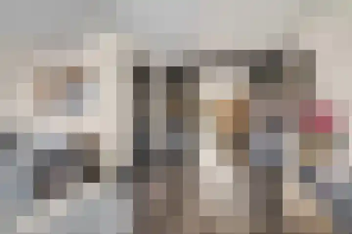 Meester A Datemalaan 12 Kesteren thumbnail 9