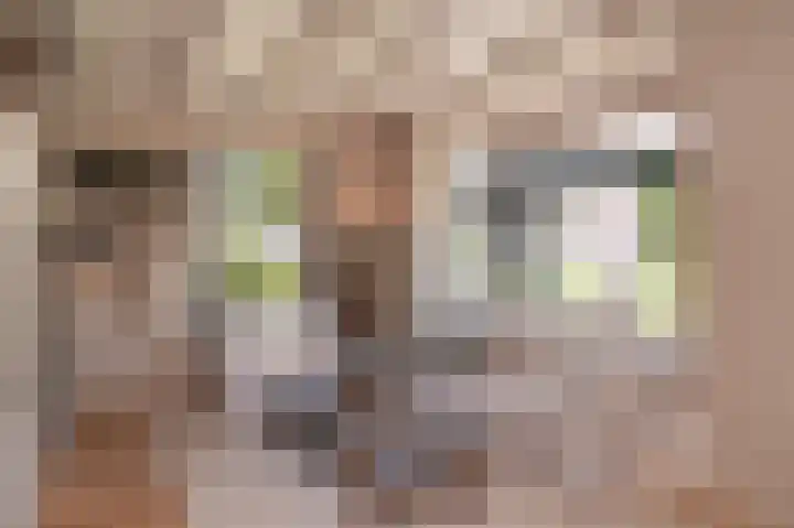 Meester A Datemalaan 17 Kesteren thumbnail 11
