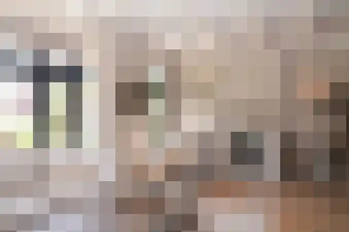 Meester A Datemalaan 17 Kesteren thumbnail 12