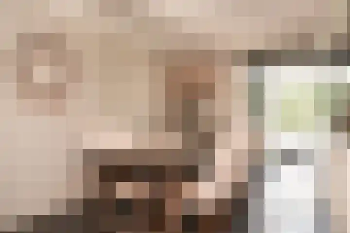 Meester A Datemalaan 17 Kesteren thumbnail 17