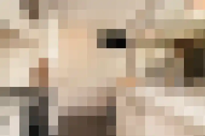 Meester A Datemalaan 17 Kesteren thumbnail 18