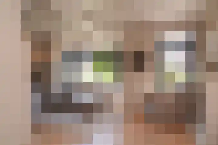 Meester A Datemalaan 17 Kesteren foto 2