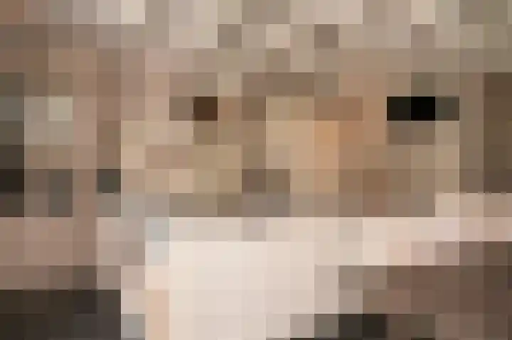 Meester A Datemalaan 17 Kesteren thumbnail 20