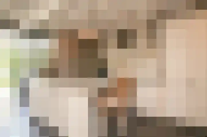 Meester A Datemalaan 17 Kesteren foto 3