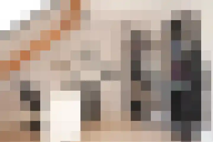 Meester A Datemalaan 17 Kesteren thumbnail 32