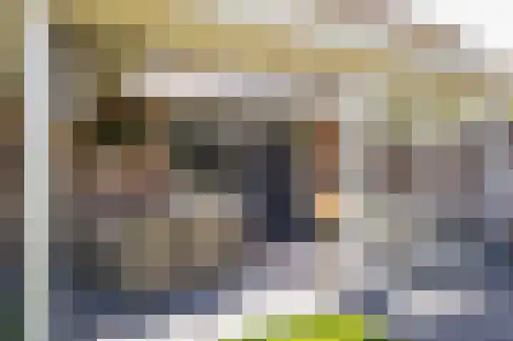Meester A Datemalaan 17 Kesteren thumbnail 34