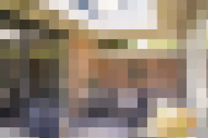Meester A Datemalaan 17 Kesteren thumbnail 35