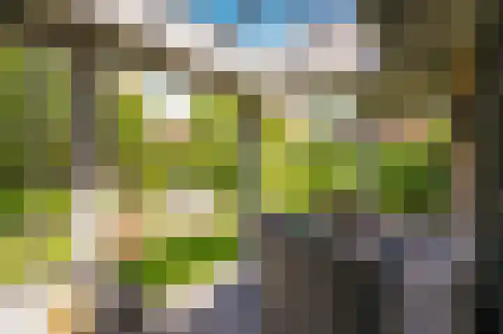 Meester A Datemalaan 17 Kesteren thumbnail 39