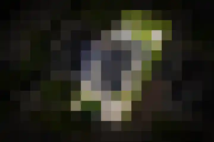 Meester A Datemalaan 17 Kesteren thumbnail 45