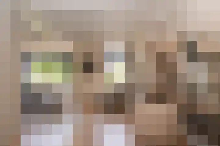 Meester A Datemalaan 17 Kesteren thumbnail 9