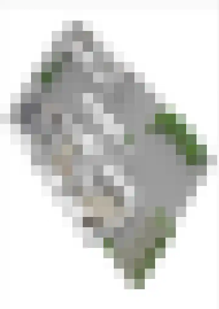 Meester A Datemalaan 3 Kesteren thumbnail 103