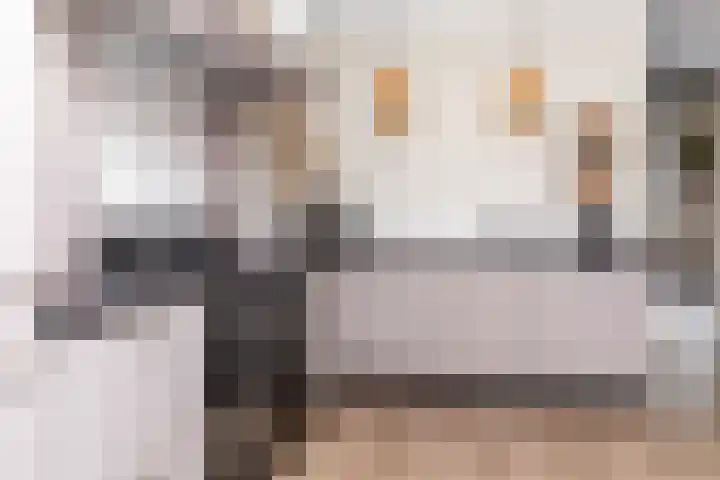 Meester A Datemalaan 3 Kesteren thumbnail 16