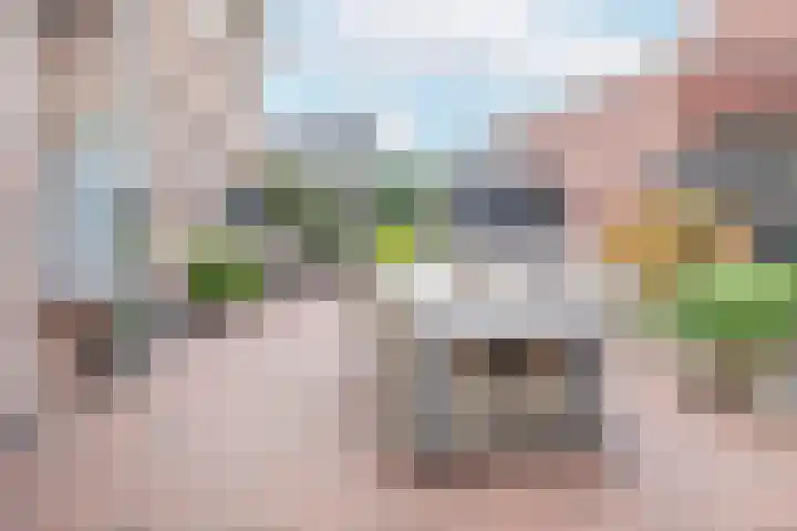Meester A Datemalaan 3 Kesteren thumbnail 39