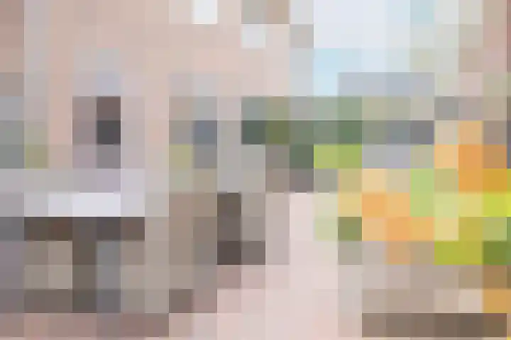 Meester A Datemalaan 3 Kesteren thumbnail 42