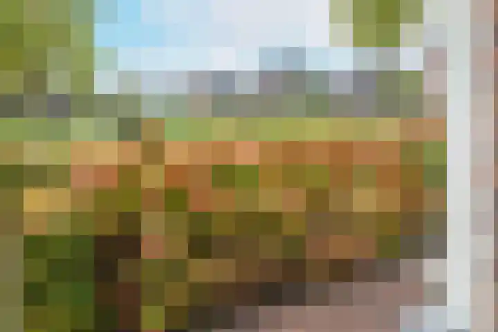 Meester A Datemalaan 3 Kesteren thumbnail 51