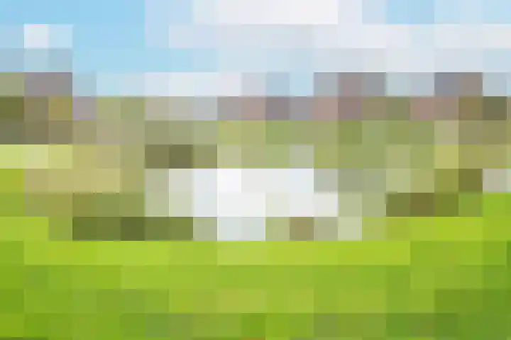 Meester A Datemalaan 3 Kesteren thumbnail 53