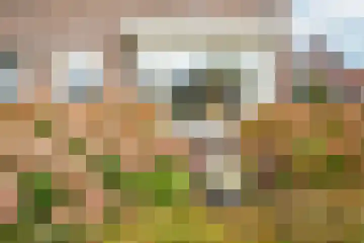 Meester A Datemalaan 3 Kesteren thumbnail 58