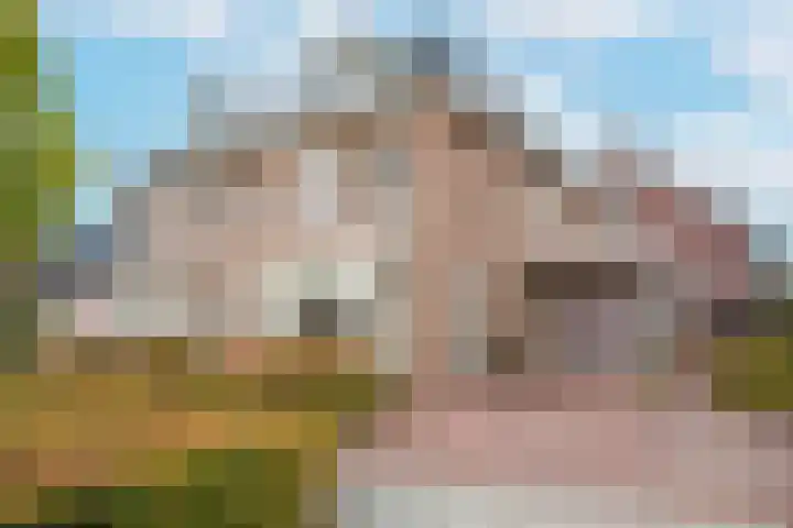 Meester A Datemalaan 3 Kesteren thumbnail 6