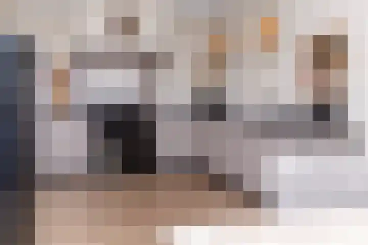 Meester A Datemalaan 3 Kesteren thumbnail 66