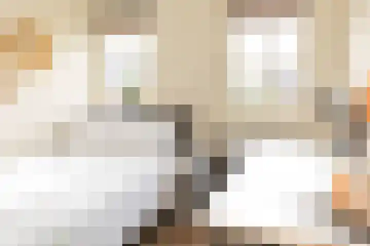 Meester A Datemalaan 3 Kesteren thumbnail 71