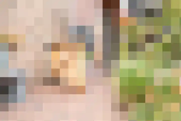 Meester A Datemalaan 3 Kesteren thumbnail 80