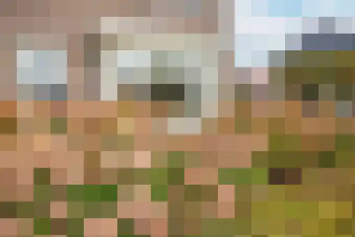 Meester A Datemalaan 3 Kesteren thumbnail 93