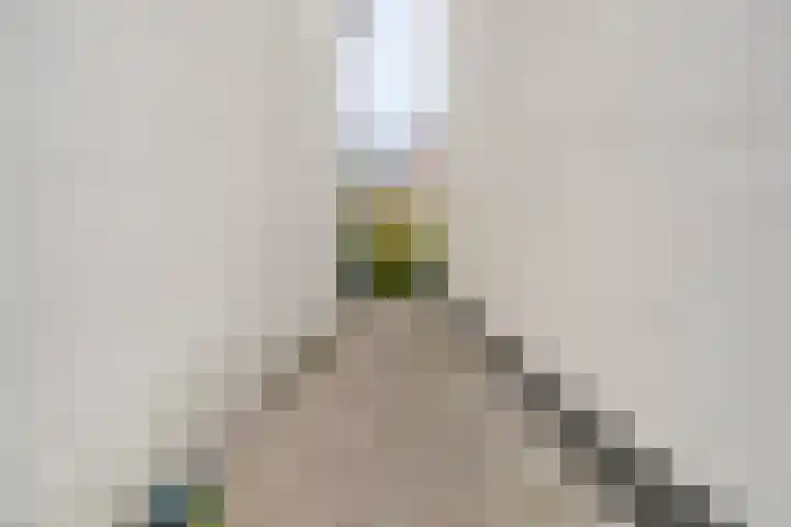 Meester A Datemalaan 37 Kesteren