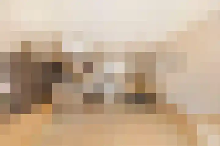 Meester A Datemalaan 37 Kesteren thumbnail 14