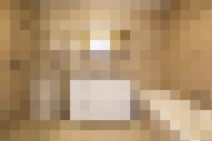 Meester A Datemalaan 37 Kesteren thumbnail 23