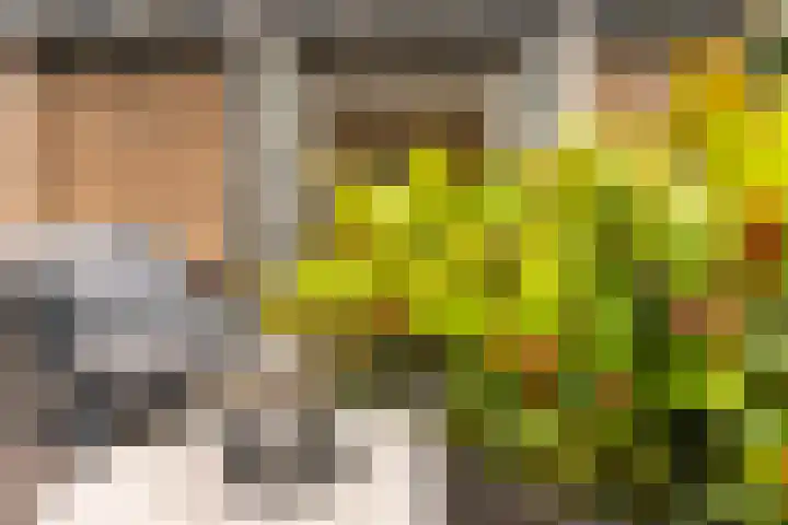 Meester A Datemalaan 37 Kesteren thumbnail 28
