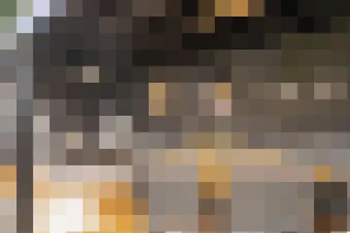 Meester A Datemalaan 37 Kesteren thumbnail 29
