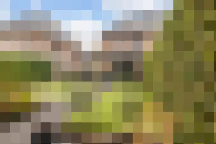 Meester A Datemalaan 37 Kesteren thumbnail 30