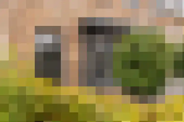 Meester A Datemalaan 37 Kesteren thumbnail 37